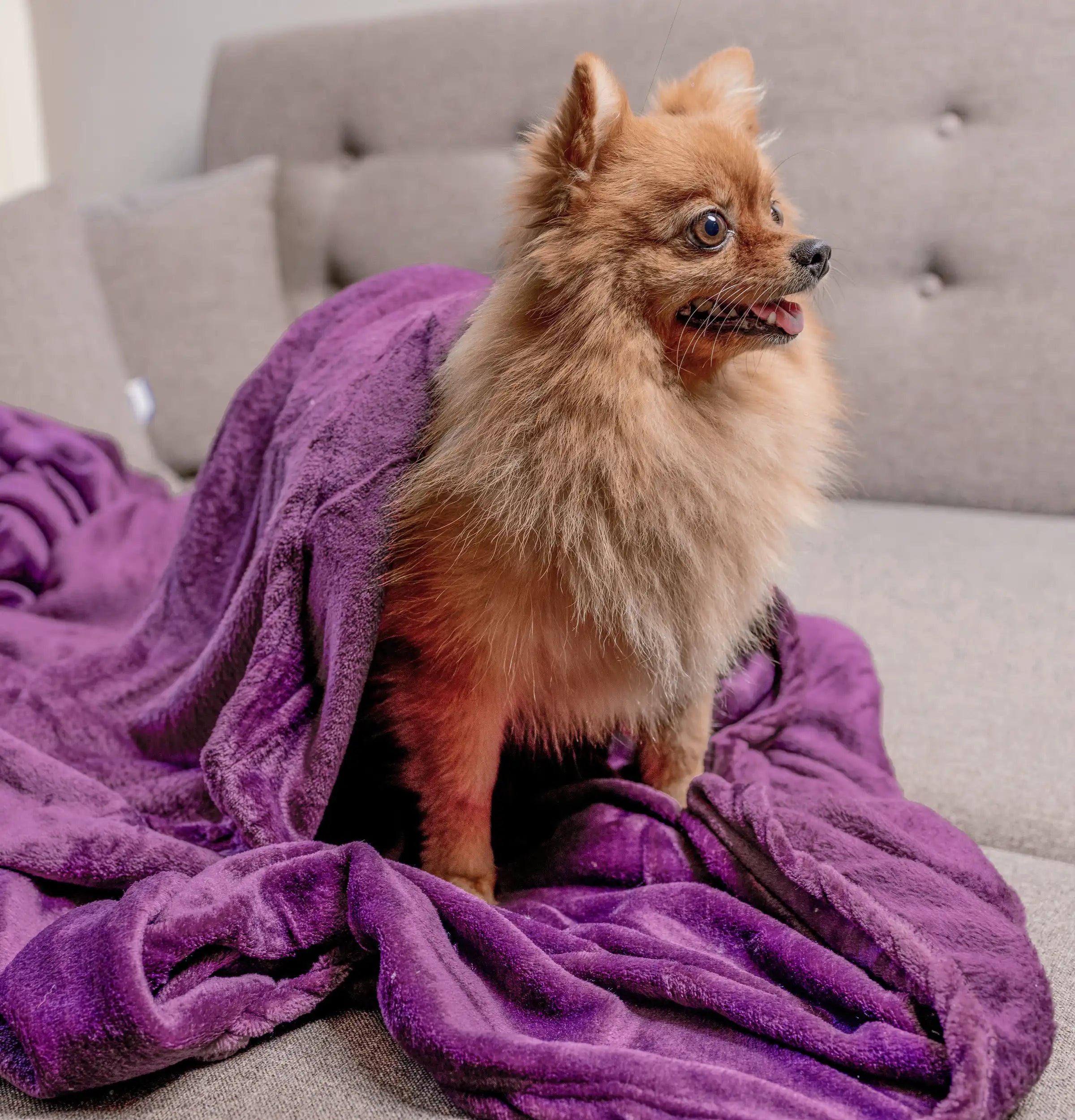 Microfiber Blanket (130 cm x 180 cm )