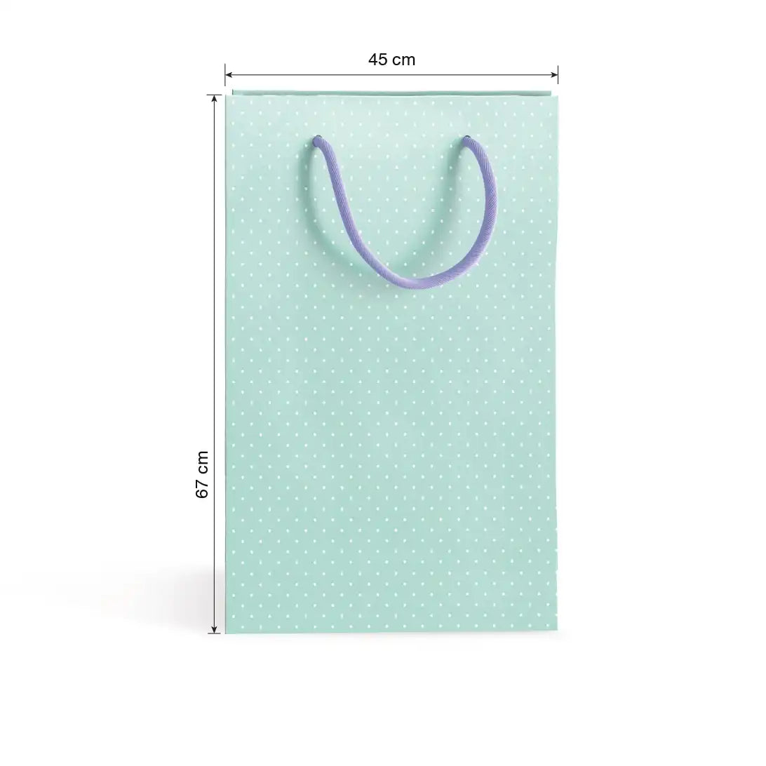 Gift bag (45x67cm)