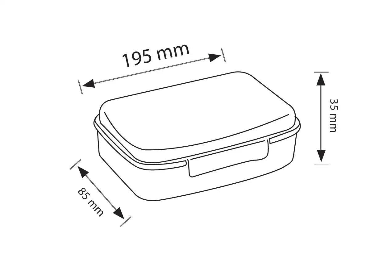 Lunch Box 450 ml (pack of 2)