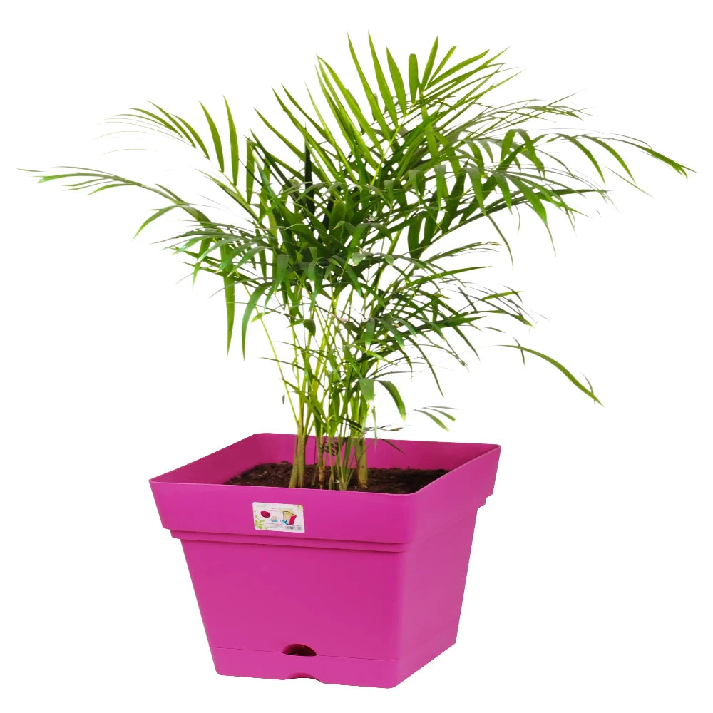 Square pot 18 cm