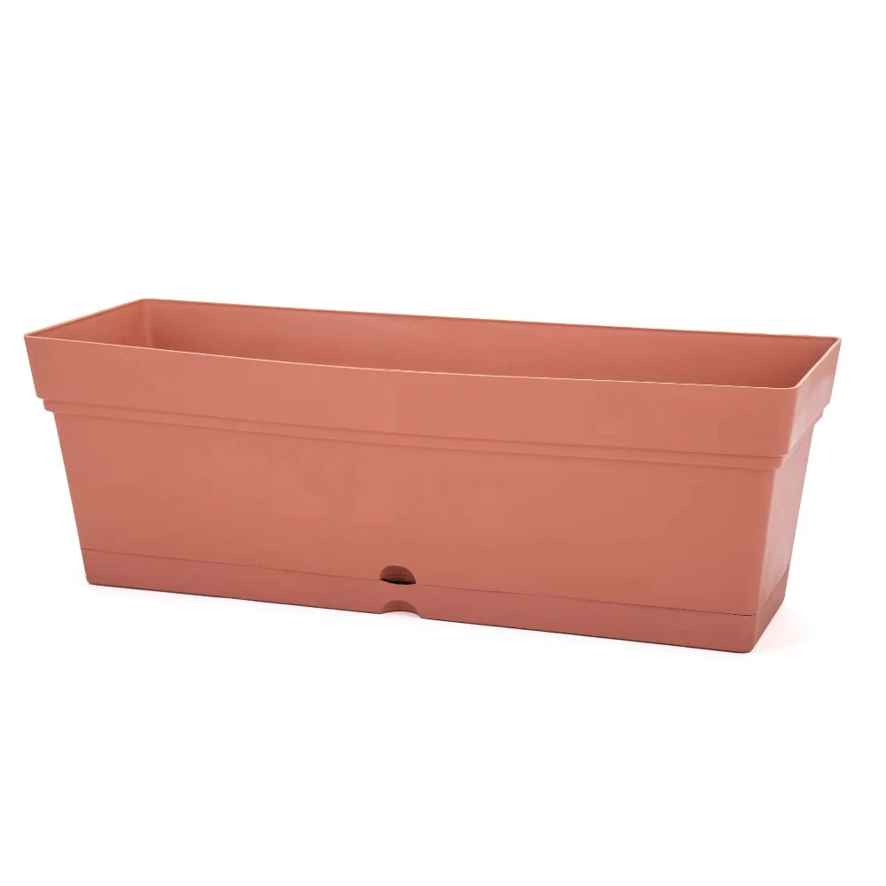 Rectangle Pot ( 50x17 cm )