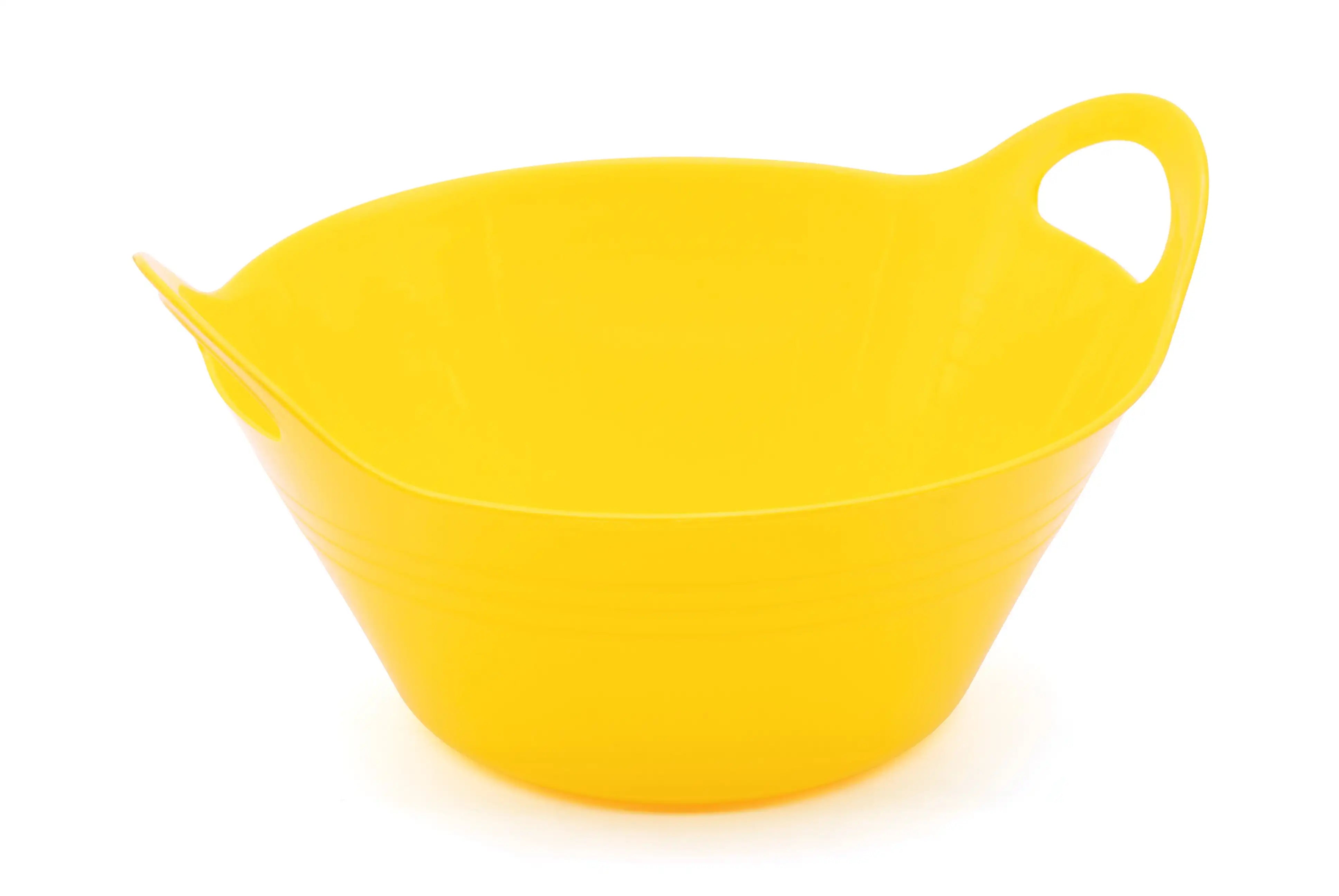 Medium Plastic Bowl with Handle