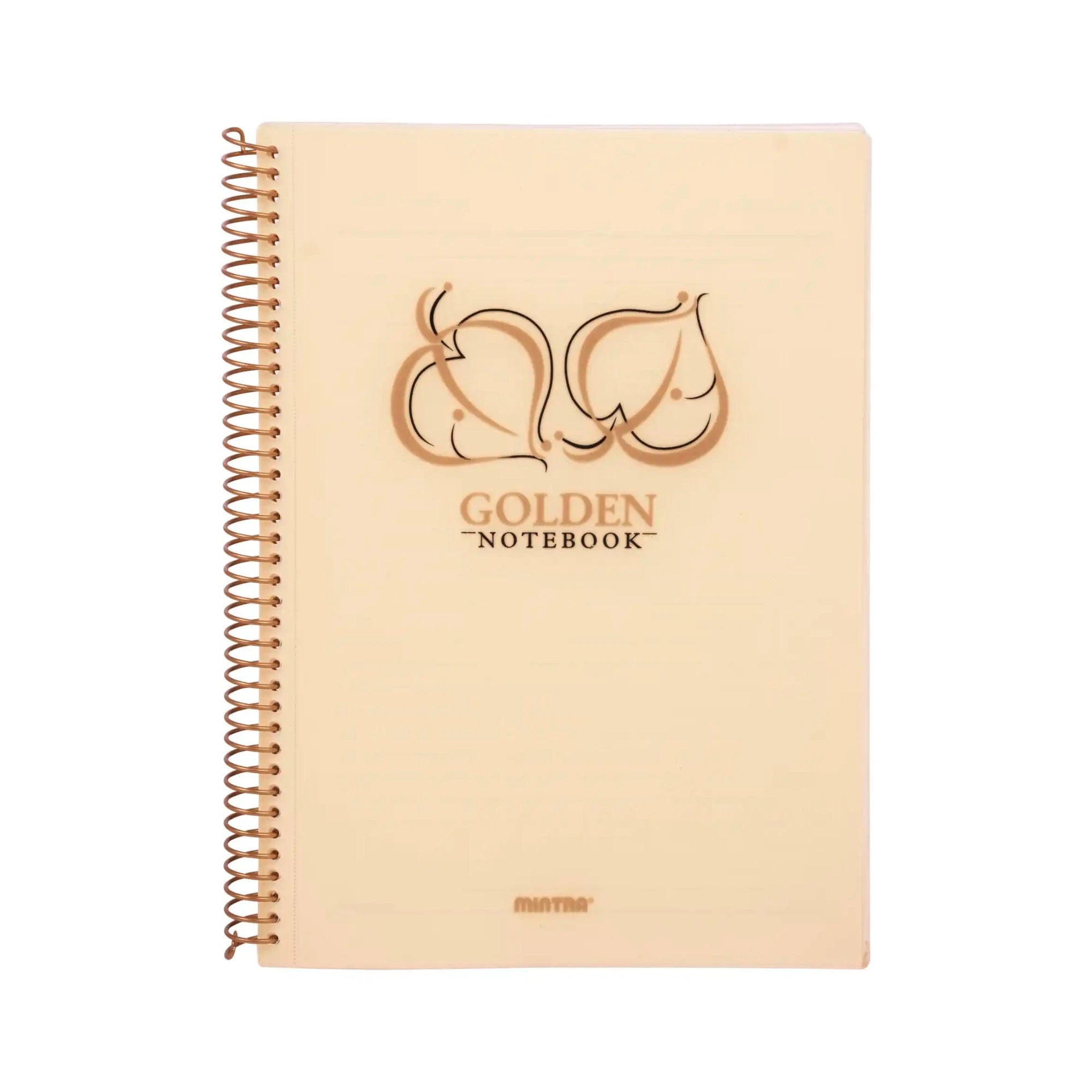 Gold Notebook B5 (17.6 x 25 cm)