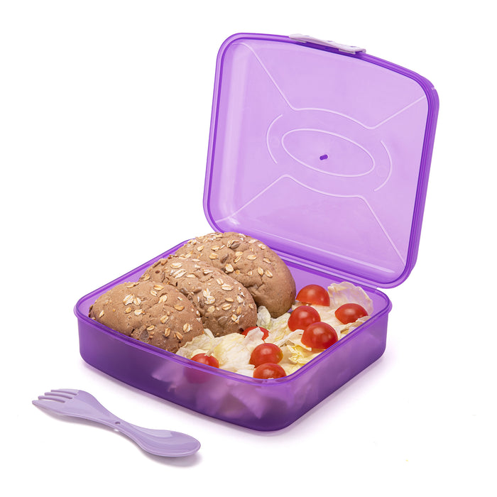 Frosted Lunch Box 2L (with Fork & Spoon)