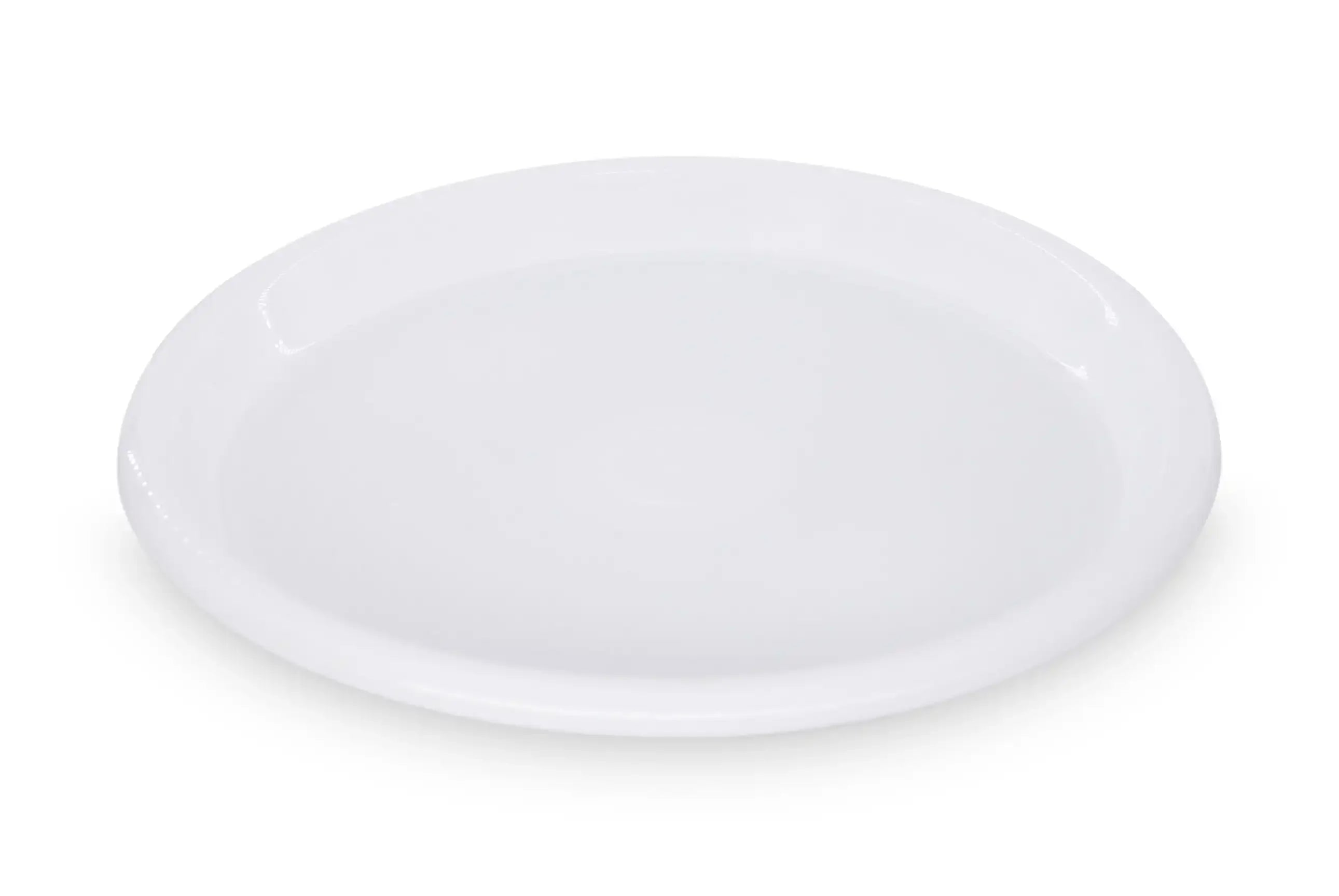 Large Party Plate (pack of 6)