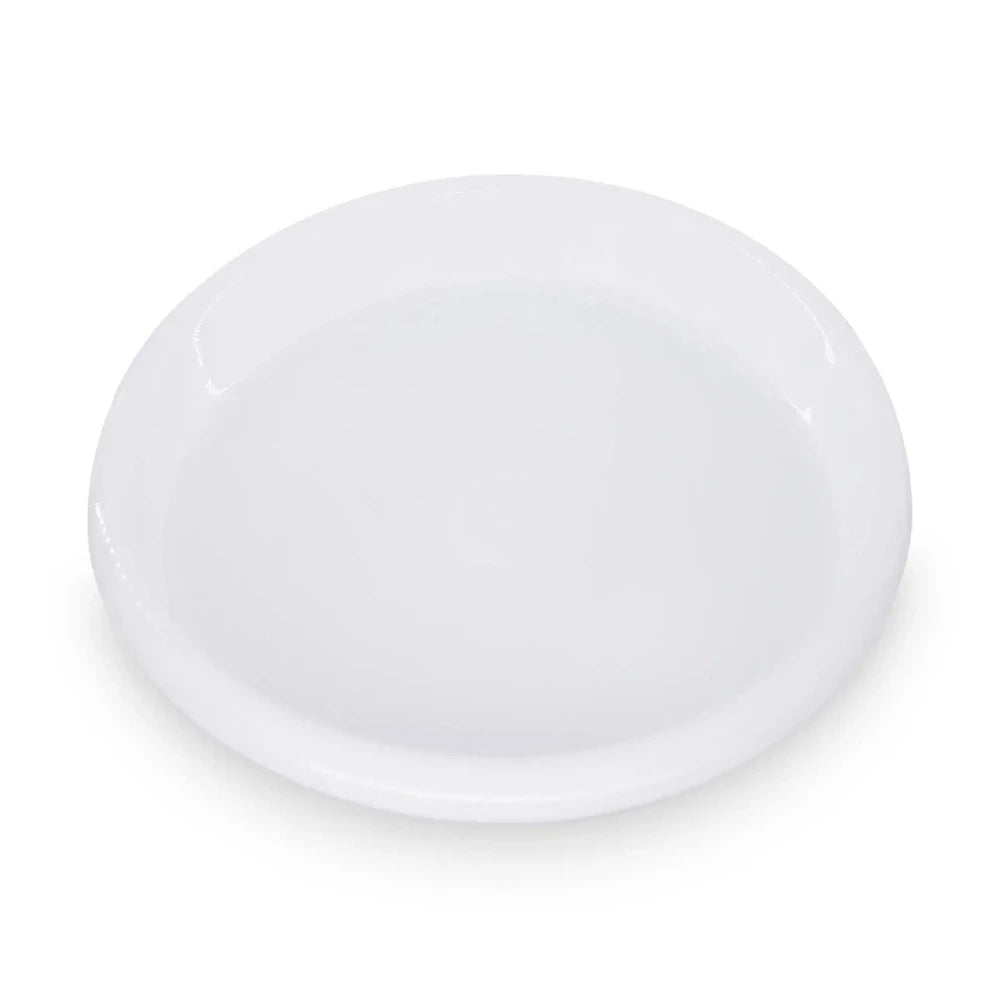 Small Party Plate (Pack of 6)