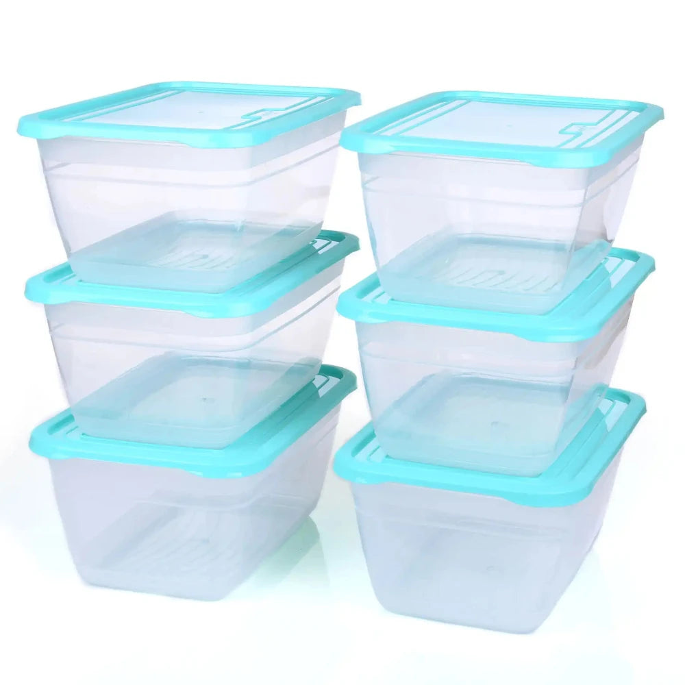 Fridge Storage Container 4 L (pack of 6)