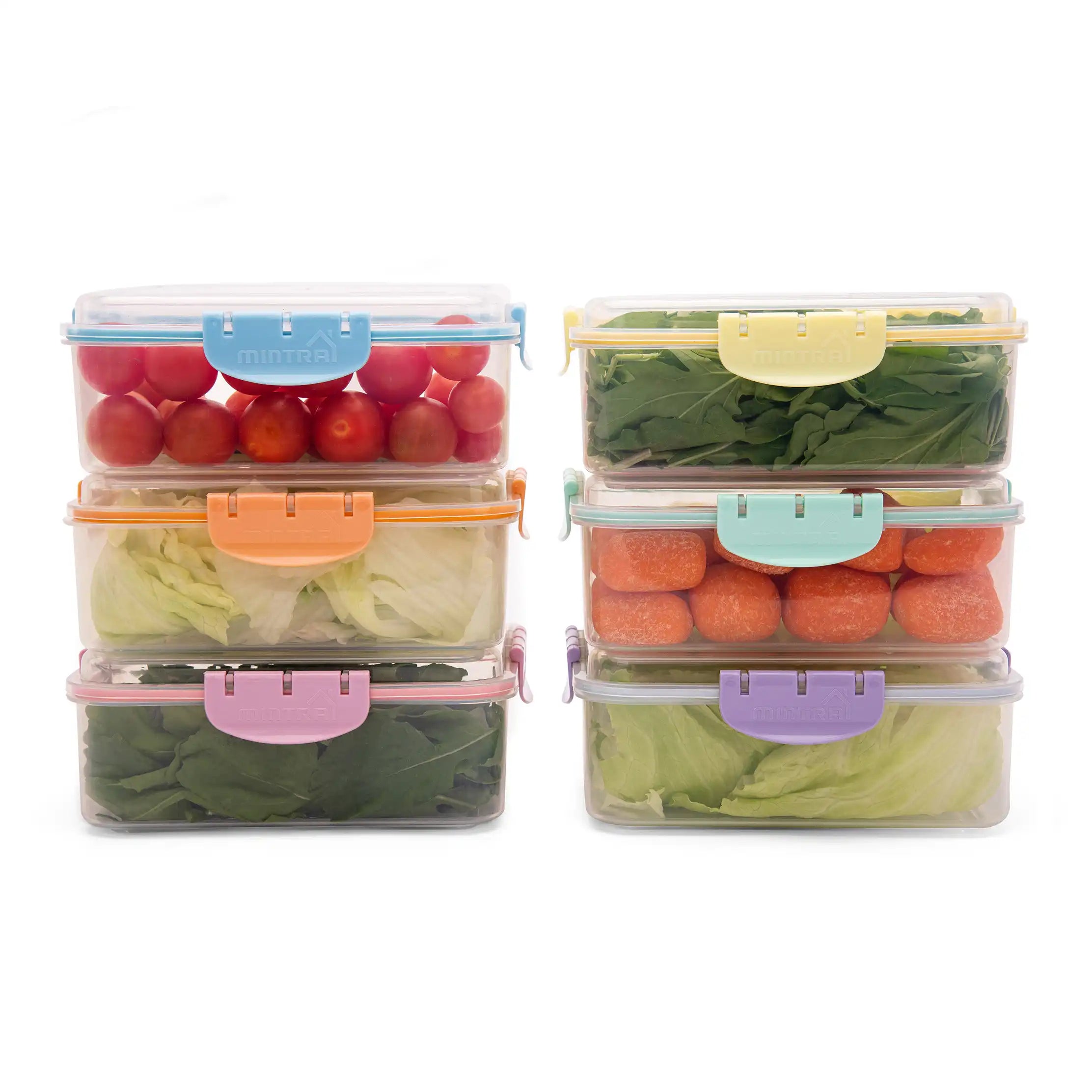 1.7 L Food Container with Lock