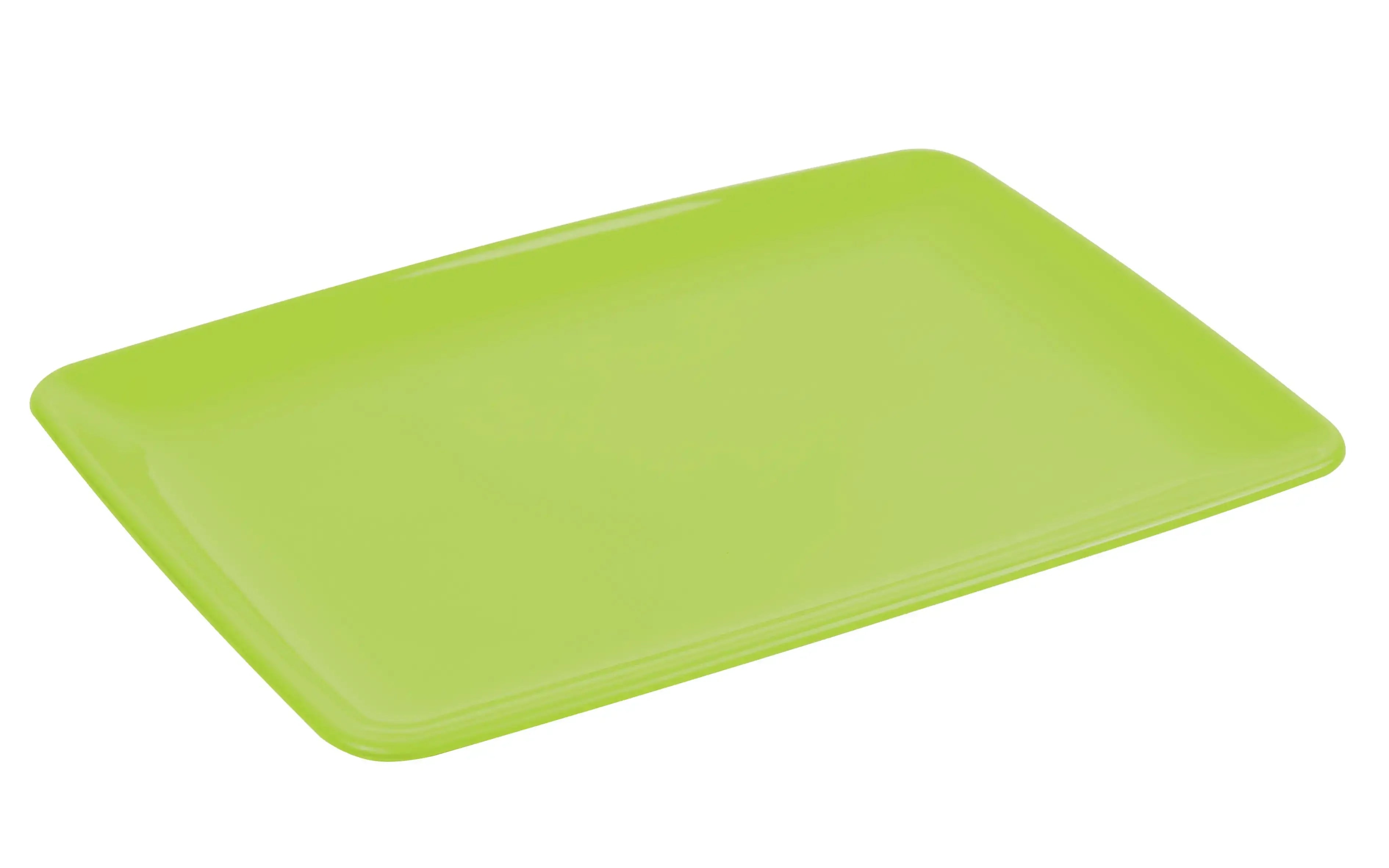 Rectangular Serving Plate (pack of 2)