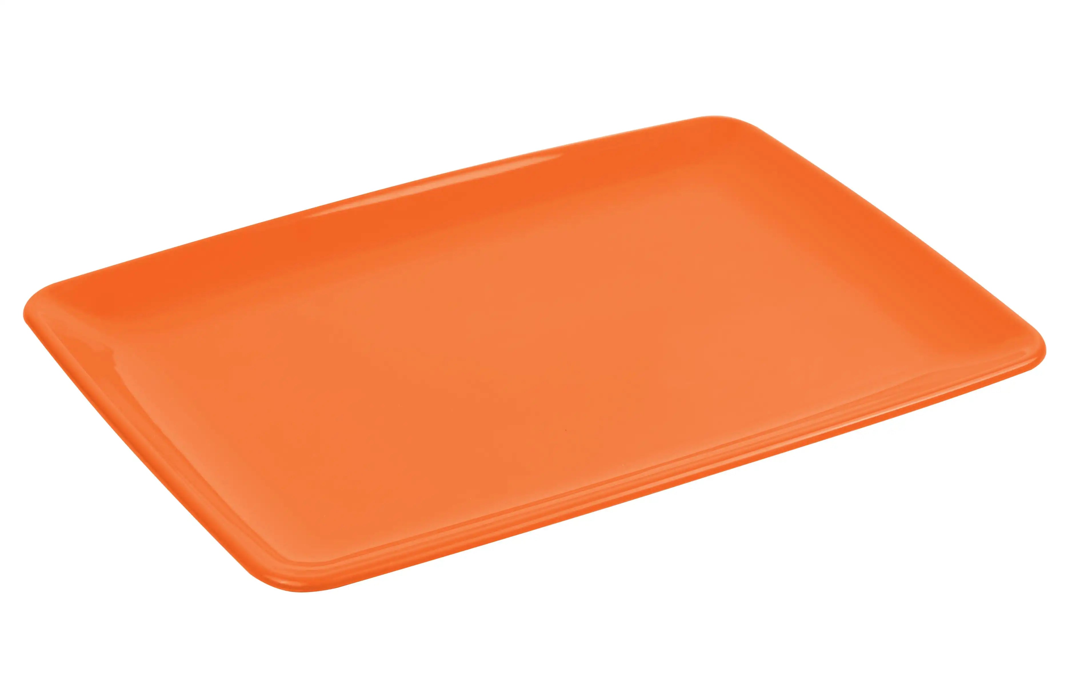 Rectangular Serving Plate (pack of 2)