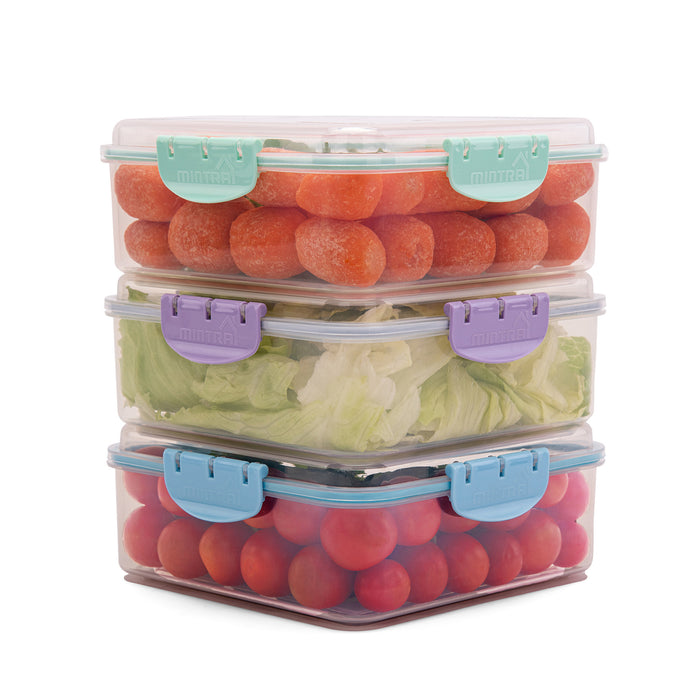 1.7 L Food Container with Lock