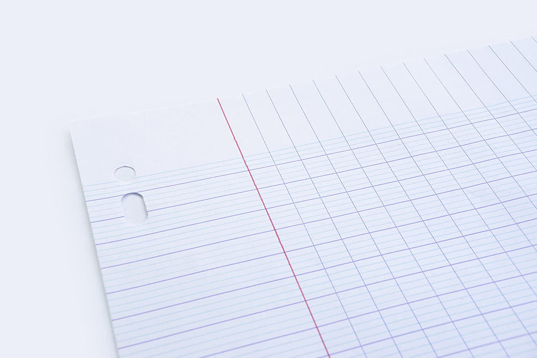 Pixel Seyes Double Filler Paper A4 (French Ruling)